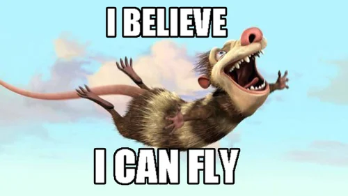 I believe I can fly
